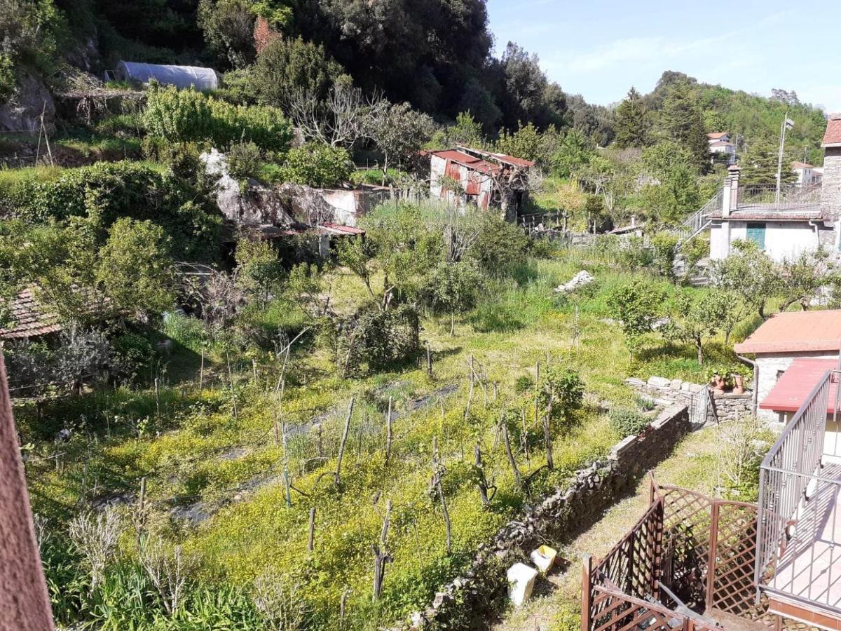 La Casa Torre Otel Pignone Dış mekan fotoğraf